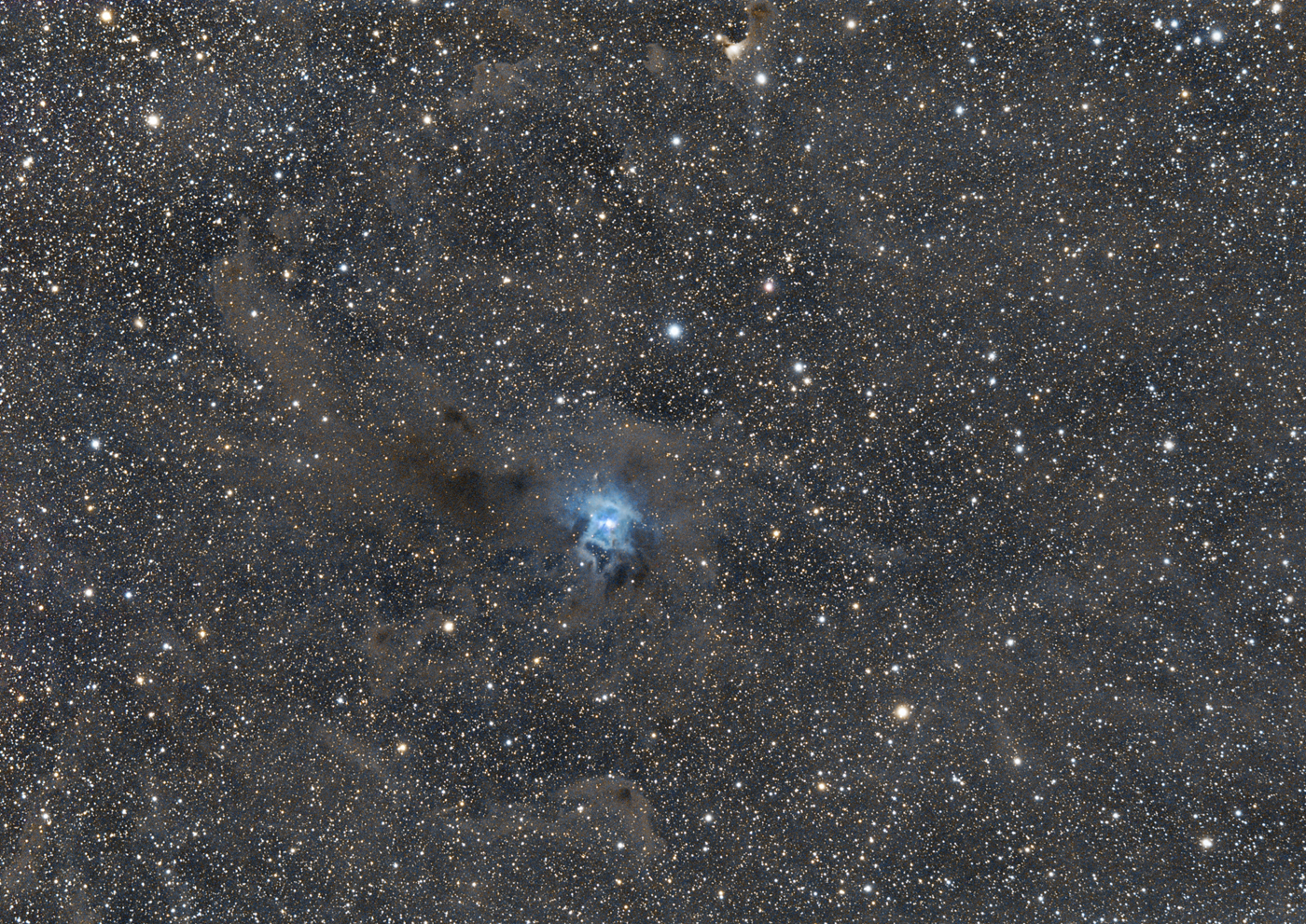 20150916 NGC7023.jpg